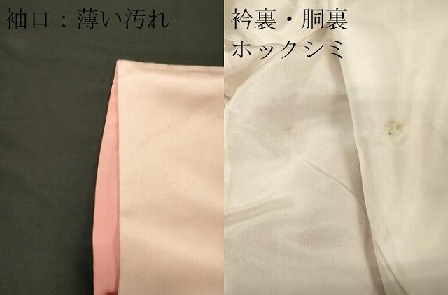 平和屋着物■訪問着　鳳凰籬草花文　暈し染め　金彩　正絹　逸品　CABM0891oy