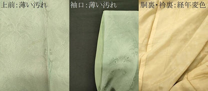 平和屋着物■上質な小紋　孔雀羽地紋　正絹暈し染め　逸品　CABM0962oy