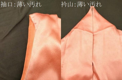 平和屋着物■訪問着　駒刺繍　手描き　枝梅文　暈し染め　正絹　逸品　CABM0991oy