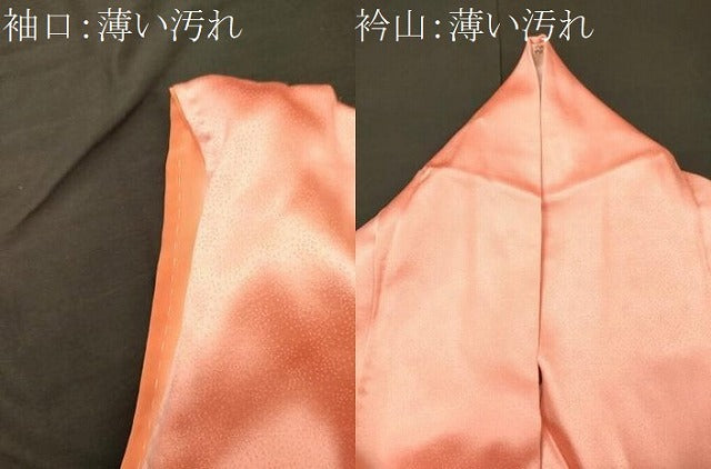 平和屋着物■訪問着　駒刺繍　手描き　枝梅文　暈し染め　正絹　逸品　CABM0991oy