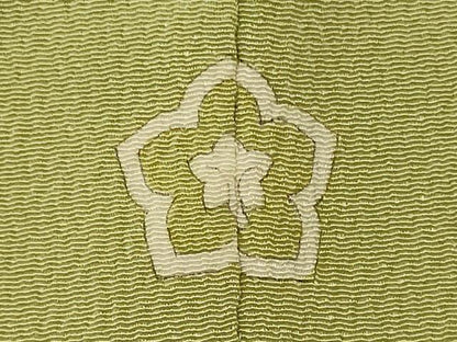 平和屋着物■上質な色無地　若菜色　正絹　逸品　CABM1126oy
