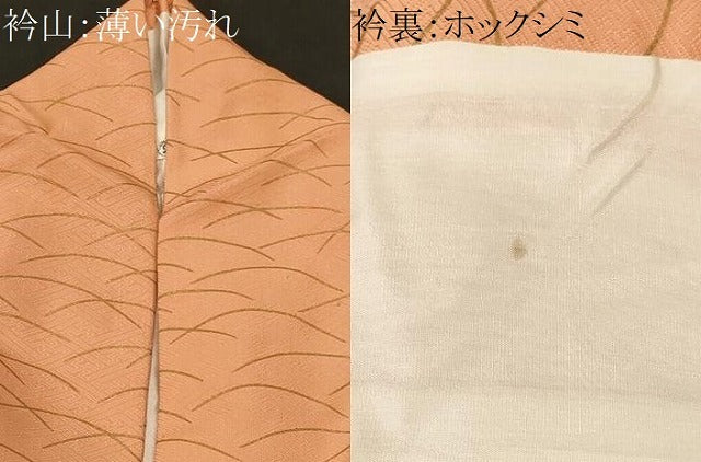 平和屋着物■訪問着　駒刺繍　芝草御所車文箱花文　金彩　正絹　逸品　CABM1203ev