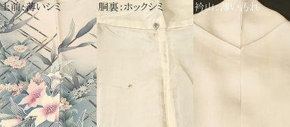 平和屋着物■訪問着　笹竹草花文　暈し染め　正絹　逸品　CABM1206ev