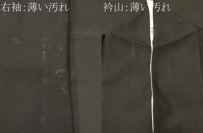 平和屋着物■豪華黒留袖　駒刺繍　御所車飛鶴吉祥花文　金彩　正絹　逸品　CABM1208ev