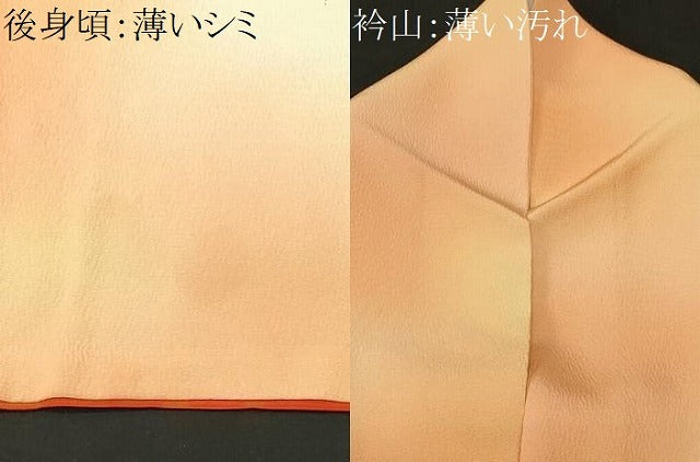 平和屋着物■訪問着　駒刺繍　蔦の葉花文　暈し染め　金彩　正絹　逸品　CABM1211ev