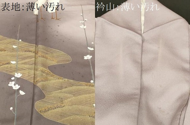平和屋着物■訪問着　鶏　流水草花文　暈し染め　金彩　正絹　逸品　CABM1228ev
