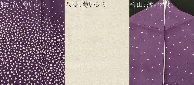 平和屋着物■色留訪問着　箔散らし　正絹　逸品　CABM1238ev