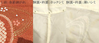 平和屋着物■訪問着　刺繍　絞り　流水舞花文　金彩　正絹　逸品　CABM1251ev