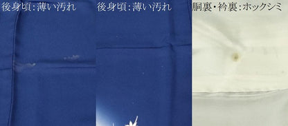平和屋着物■訪問着　御所解文　暈し染め　金彩　正絹　逸品　CABM1252ev