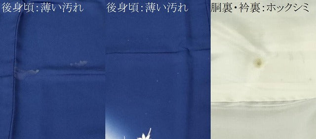 平和屋着物■訪問着　御所解文　暈し染め　金彩　正絹　逸品　CABM1252ev