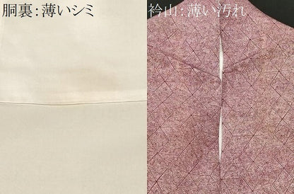 平和屋着物■江戸小紋　麻の葉小紋柄　正絹　逸品　CABM1268ev