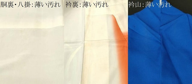 平和屋着物■訪問着　舞花文　暈し染め　正絹　逸品　CABM1269ev