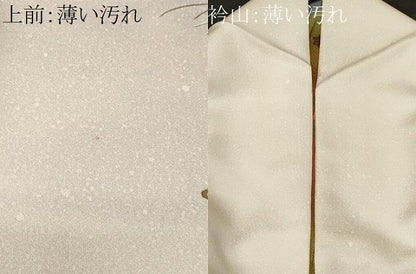 平和屋着物■訪問着　総刺繍　駒刺繍　流水鴛鴦草花文　暈し染め　金彩　正絹　逸品　CABM1271ev