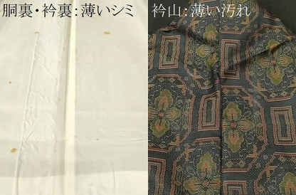平和屋着物■上質な紬　蜀江花文　正絹　逸品　CABM1288ev
