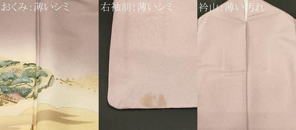 平和屋着物■豪華色留袖　風景文　暈し染め　正絹　逸品　CABM1298ev