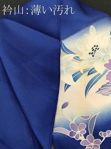 平和屋着物■豪華振袖　草花文　暈し染め　正絹　逸品　CABM1323ev