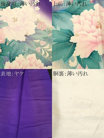 平和屋着物■豪華振袖　孔雀花蝶文　暈し染め　金彩　正絹　逸品　CABM1324ev