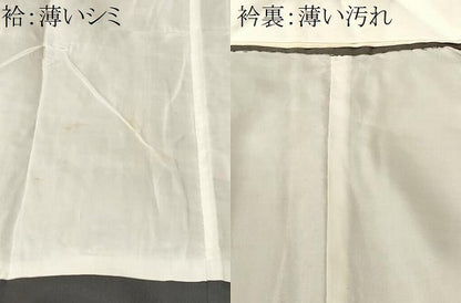 平和屋着物■男性　長襦袢　袷　鹿の子笹竹文　暈し染め　洗える着物　CABM1333ev
