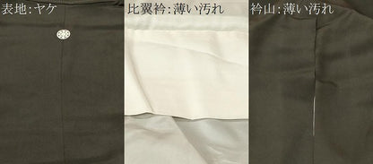 平和屋着物■豪華黒留袖　鳳凰更紗枝花文　暈し染め　金彩　正絹　逸品　CABM1345ev