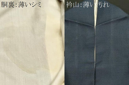 平和屋着物■本場大島紬　100亀甲　総詰め　正絹　逸品　CABM1357ev