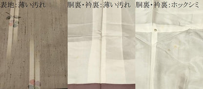 平和屋着物■上質な紬　草花文　正絹　逸品　CABM1360ev