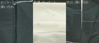 平和屋着物■上質な紬　横段文　正絹　逸品　CABM1362ev