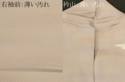 平和屋着物■訪問着　刺繍　吉祥枝花文　暈し染め　金彩　正絹　逸品　CABM1371ev