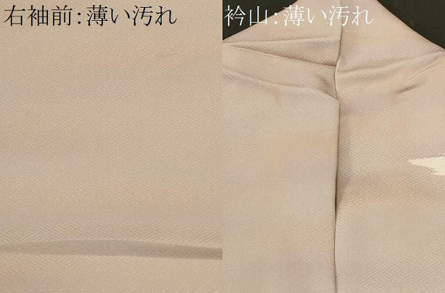平和屋着物■訪問着　刺繍　吉祥枝花文　暈し染め　金彩　正絹　逸品　CABM1371ev