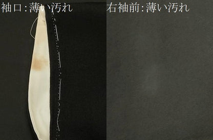 平和屋着物■豪華黒留袖　駒刺繍　飛鶴文　正絹　逸品　CABM1388ev