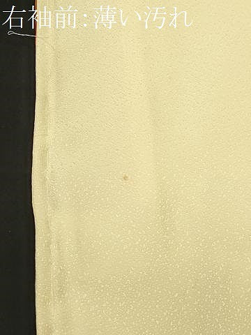 平和屋着物■訪問着　手描き　杜若文　正絹　逸品　CABM1422ev