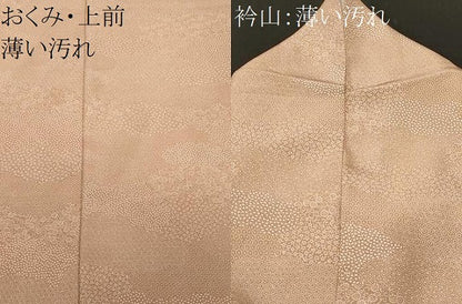 平和屋着物■江戸小紋　寄せ小紋柄　正絹　逸品　CABM1432ev