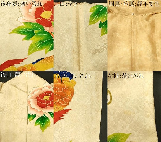 平和屋着物■豪華振袖　駒刺繍　尾長鳥流水草花文　金彩　正絹　逸品　CABM1467ev