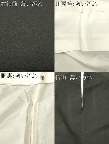 平和屋着物■豪華黒留袖　箔散らし飛鶴流水文　暈し染め　金彩　正絹　逸品　CABM1484ev