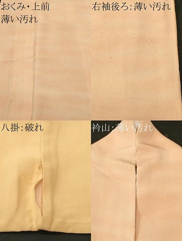 平和屋着物■上質な小紋　作家物　霞文　暈し染め　鬼しぼ縮緬　正絹　逸品　CABM1493ev