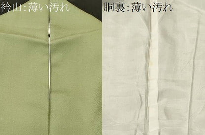 平和屋着物■豪華色留袖　寿光織　北山風情　暈し染め　金糸　さが美扱い　正絹　逸品　CABM1494ev