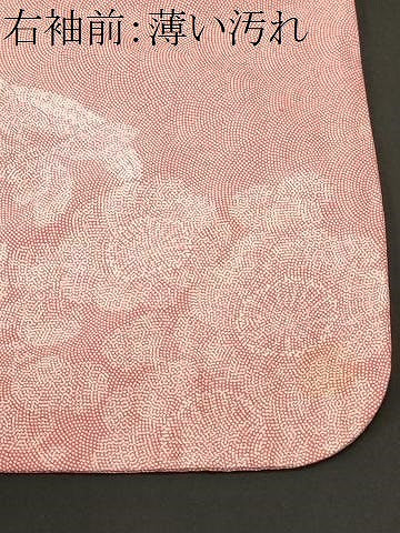 平和屋着物■上質な小紋　廣瀬雄望作　草花文　鮫小紋柄　正絹　逸品　CABM1515ev