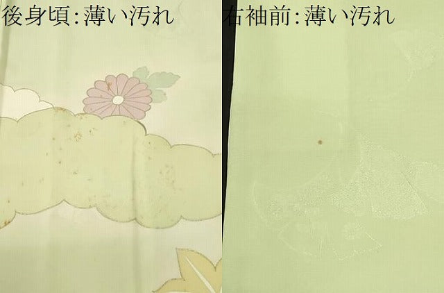 平和屋着物■訪問着　駒刺繍　雲取り舞花文　暈し染め　金彩　正絹　逸品　CABM1521ev