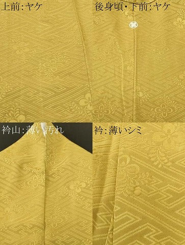平和屋着物■豪華色留袖　紗綾形花地紋　青朽葉色　正絹　逸品　CABM1537ev