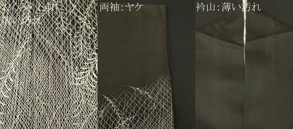平和屋着物■訪問着　枝葉文　黒地　正絹　逸品　CABM1545ev