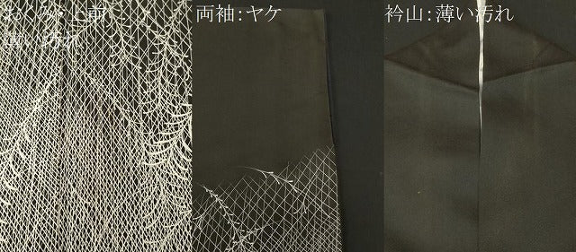平和屋着物■訪問着　枝葉文　黒地　正絹　逸品　CABM1545ev
