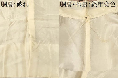 平和屋着物■上質な小紋　地紋起こし　霰草花文　正絹　逸品　CABM1575ev