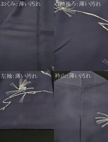 平和屋着物■訪問着　石庭　枝松葉文　正絹　逸品　CABM1630ev