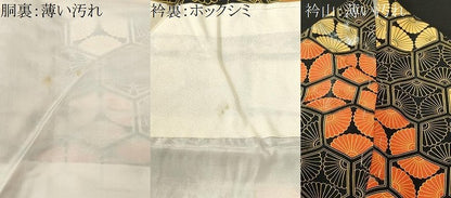 平和屋着物■上質な小紋　亀甲菊文　黒地　銀彩　正絹　逸品　CABM1634ev