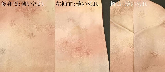 平和屋着物■上質な小紋　霞文　雲取り流水花地紋　暈し染め　正絹　逸品　CABM1640ev