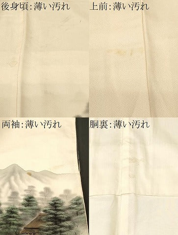 平和屋着物■訪問着　樹林風景文　暈し染め　正絹　逸品　CABM1641ev