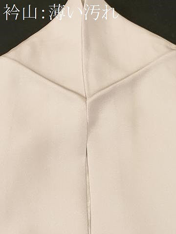 平和屋着物■訪問着　枝花文　シルエット　暈し染め　正絹　逸品　CABM1642ev