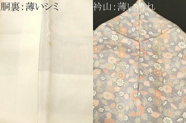 平和屋着物■上質な小紋　枝花文　正絹　逸品　CABM1645ev