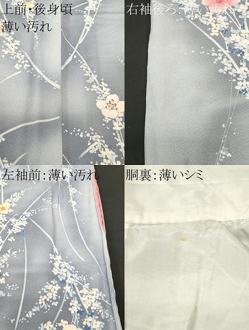 平和屋着物■上質な小紋　枝花文　暈し染め　ロング丈　正絹　逸品　CABM1650ev