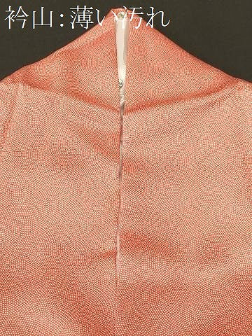 平和屋着物■訪問着　江戸小紋　青海波　鮫小紋柄　正絹　逸品　CABM1661ev