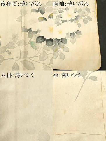 平和屋着物■訪問着　枝花文　暈し染め　正絹　逸品　CABM1687ev